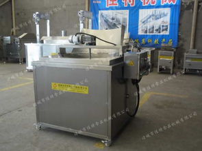 魚仔油炸生產(chǎn)線全解析 從設(shè)備供應(yīng)到技術(shù)咨詢一站式服務(wù)